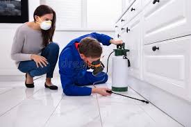 Best Bed Bug Extermination  in Vail, AZ