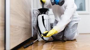 Best Emergency Pest Control  in Vail, AZ